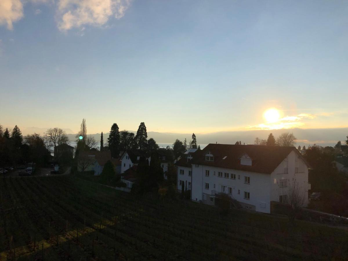 Ferienwohnungen Weingut Deufel Lindau  Exterior photo