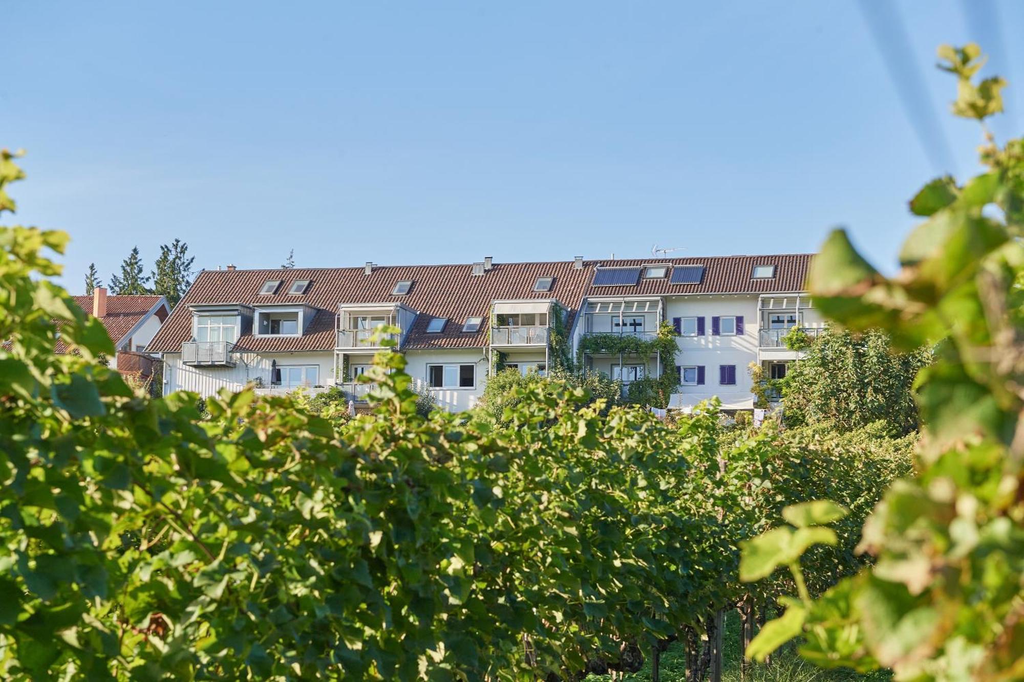 Ferienwohnungen Weingut Deufel Lindau  Exterior photo